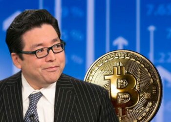 Tom Lee; Yaşananlar 2018’den Farklı Değil