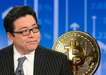 Tom Lee; Yaşananlar 2018’den Farklı Değil