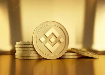 BNB Fiyatı Nasıl %30 Arttı?