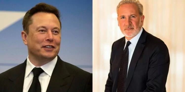 Peter Schiff Elon Musk’ın Bitcoin Oyununu Çözdü! 1 peter-schiff-elon-musk'in-bitcoin-oyununu-cozdu!-2022-paranfil