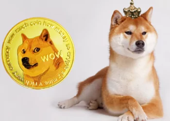 shiba-inu