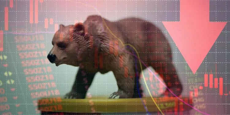 ayi-piyasasinda-hayatta-kalmanin-yollari