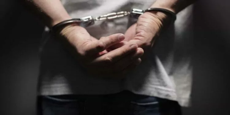 V Global Yöneticilerine Hapis Cezası!!