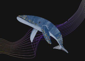 Polygon (MATIC) Balinasının Satış Dalgası Dikkat Çekti