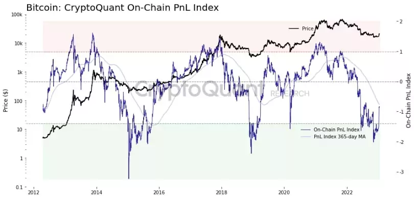 cryptoquant-istatistik-p&l-endeksi-2023