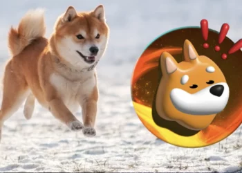 Bonk NFT Koleksiyonunu Magic Eden Üzerinden Çıkaracak.