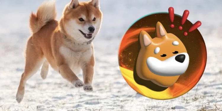 Bonk NFT Koleksiyonunu Magic Eden Üzerinden Çıkaracak. 1 Bonk NFT Koleksiyonunu Magic Eden Üzerinden Çıkaracak.