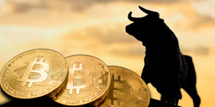 Boğa Sezonu Başladı mı? USDT.D + BTC.D + DXY Analizi