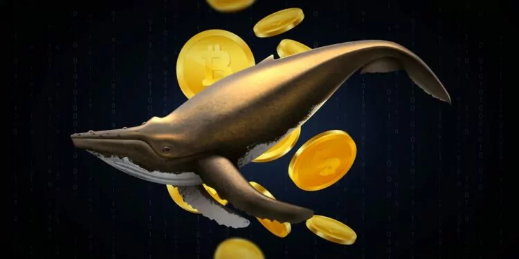 Son 48 Saatte 1.010 NFT Satıldı! 1 Son 48 Saatte 1.010 NFT Satıldı!