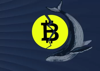 Emmy Ödüllü, Disney Destekli Baobab Studios, ‘Momoguro’ Ethereum NFT’lerini Piyasaya Sürdü