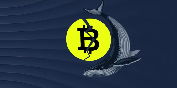 Emmy Ödüllü, Disney Destekli Baobab Studios, ‘Momoguro’ Ethereum NFT’lerini Piyasaya Sürdü