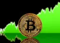 Bitcoin'in kurumsal benimsenmesinde %924 artış 5 Bitcoin fiyatı