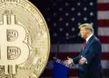 donald trump bitcoin ve kripto paralar ve kripto para rezervi