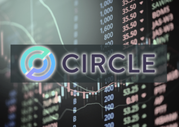 circle usdc coin halka arz