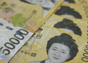 güney kore stablecoin won