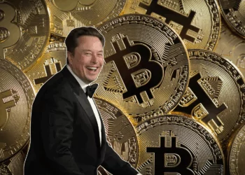 elon musk bitcoin