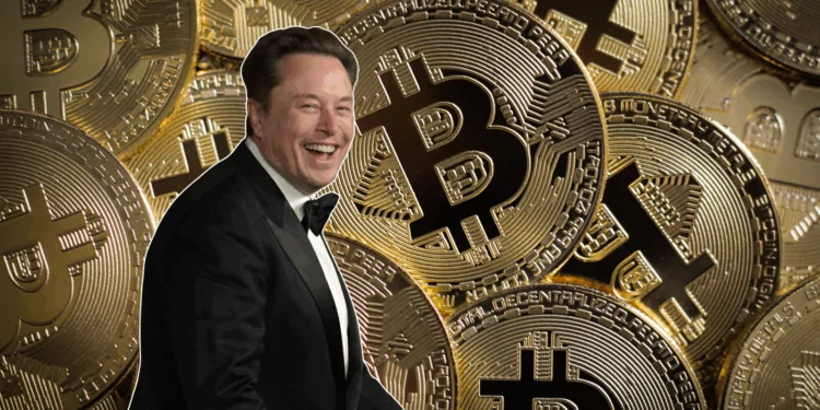 elon musk bitcoin