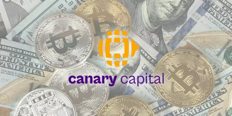 Canary, ABD'li kripto para projelerin bir fonda topluyor 1 canary capital abd kripto para projeleri etf