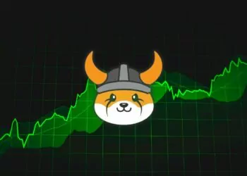 elon musk floki coin fiyatı