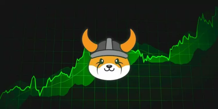 elon musk floki coin fiyatı