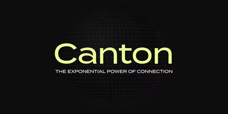 canton network dtcc tokenizasyon projesi