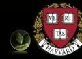 Harvard Üniversitesi, Ethereum yatırımı yapmaya başladı 2 harvard üniversitesi ethereum